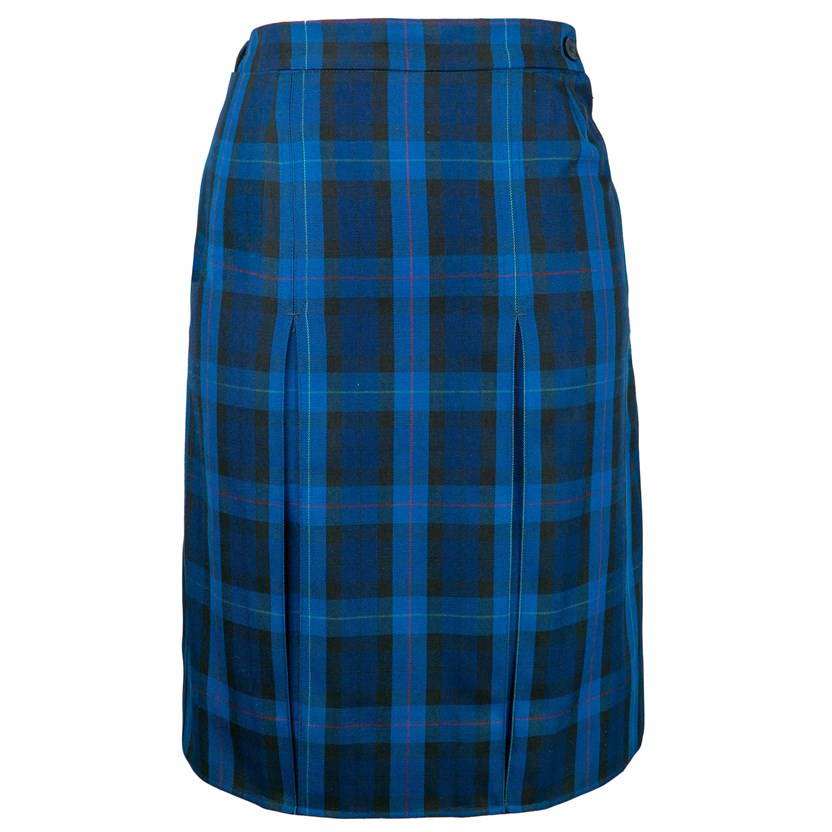 Junior Skirt - New Style